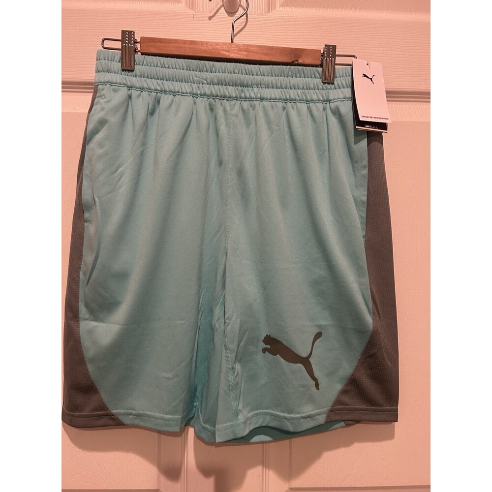 Puma Men's Dry Cell Training Running Shorts Relaxed Fit - Medium - NWT